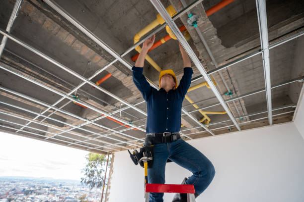 Best Leak Detection Services  in Hazel Crest, IL
